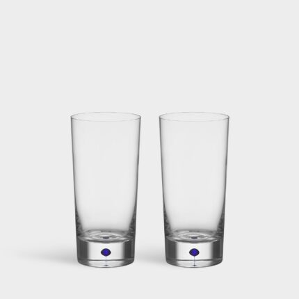 Lunhgqef Intermezzo Blue Tumbler - Set of 2